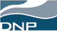 Công ty TNHH Kiểm toán DNP 