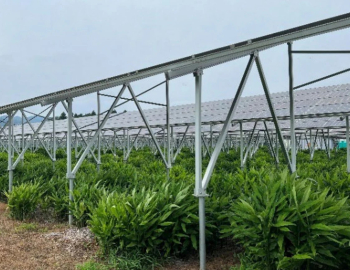 Mizuho xây dựng quỹ agrisolar, mua lại danh mục đầu tư sáu nhà máy 11MW FIT sớm tại Fukushima