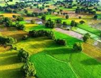 Cải cách tiền sử dụng đất và giải pháp thúc đẩy nhà ở vừa túi tiền: Bài học từ Nhật Bản và Hoa Kỳ cho Việt Nam