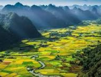 GDP bình quân đầu người và kim ngạch xuất nhập khẩu Việt Nam 2025: Con số thống kê và thực tế kinh tế