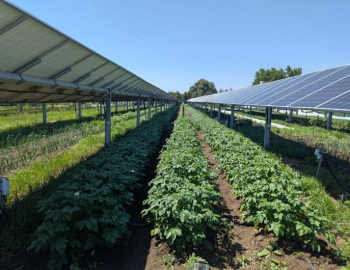 Toyota tăng cường hạ tầng hydro tại Mỹ thông qua đầu tư chiến lược vào FirstElement Fuel