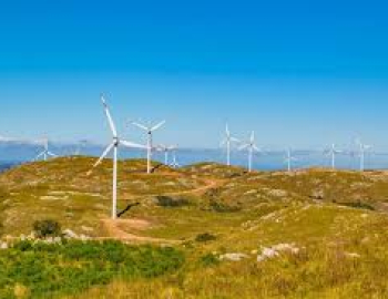 Cách Uruguay từ bỏ nhiên liệu hóa thạch để sang năng lượng tái tạo – mà không làm sụp đổ nền kinh tế