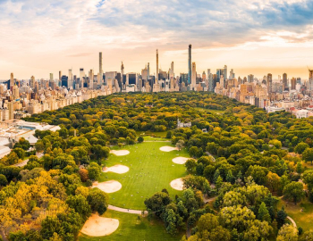 Ý kiến: Di dời Sân bay Tân Sơn Nhất: Cơ hội hình thành “Central Park” mới cho Thành phố Hồ Chí Minh