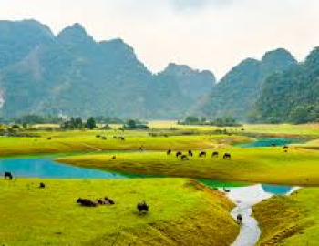 COP30: Thúc đẩy hành động vì khí hậu tại 'Hội nghị COP thực hiện'