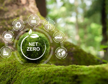 Việt Nam nên dời mục tiêu Net Zero sang 2060 hay 2070? Phân tích lợi ích và kịch bản